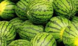 朝阳吃瓜网 吃瓜视频每日大赛,每日大赛，吃瓜群众狂欢盛宴